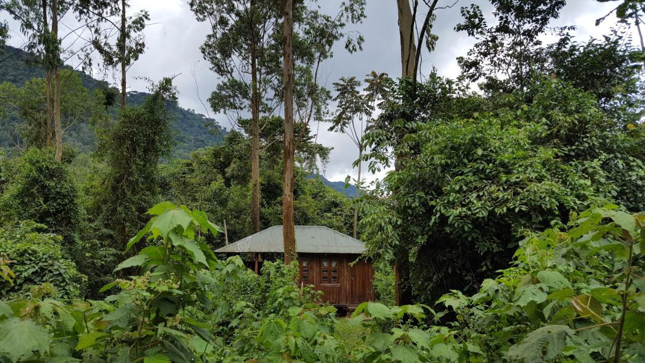 Bwindi Guest House Kinkizi Exterior foto